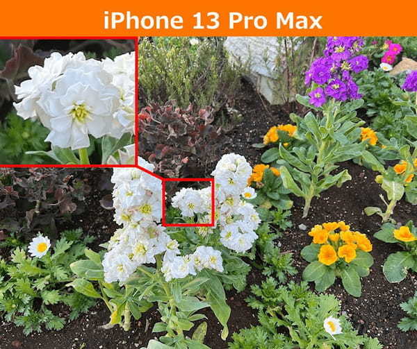 「iPhone 13 Pro Max」と「AQUOS R6」のカメラ性能を比較してみた、結局どっちが美しい!?