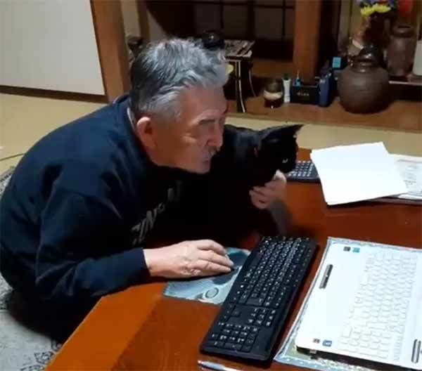 期待通り？期待を裏切った？堂々とキーボードの上に座る猫