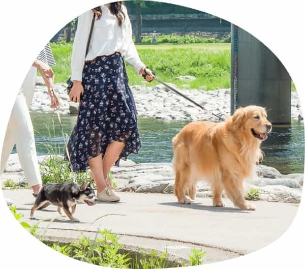 【東海版】ペット飼育者に人気のおでかけスポット一覧!愛知県・岐阜県・三重県・静岡県