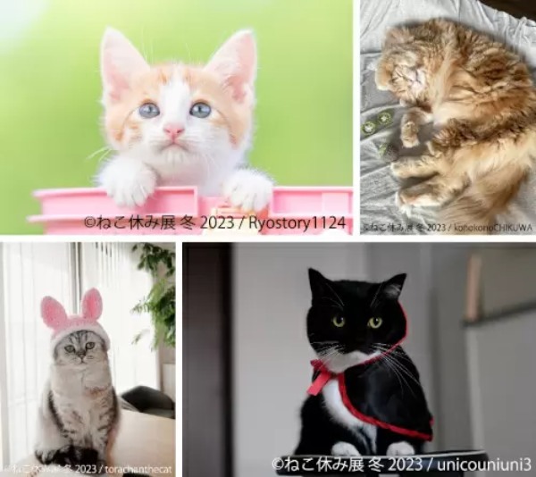 人気の猫クリエイターが集結する「ねこ休み展 冬 2023」　東京・浅草橋で開催決定