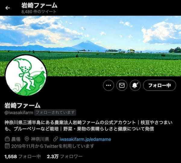 【どんなキャンプを楽しんでる？】企業公式アカウント「岩崎ファーム」さんに聞いてみた②