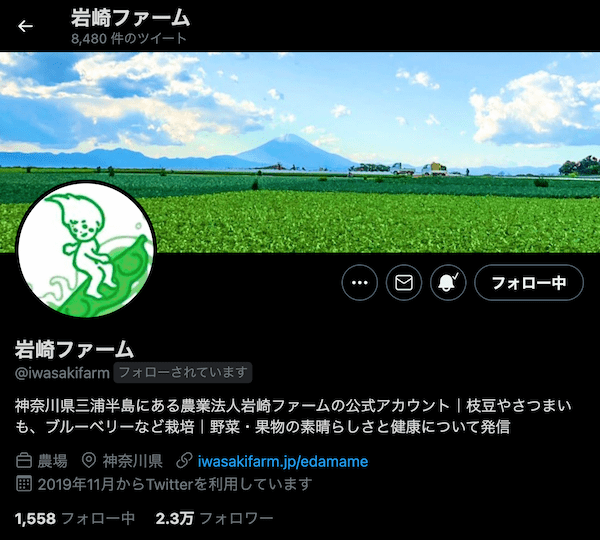 【どんなキャンプを楽しんでる？】企業公式アカウント「岩崎ファーム」さんに聞いてみた①