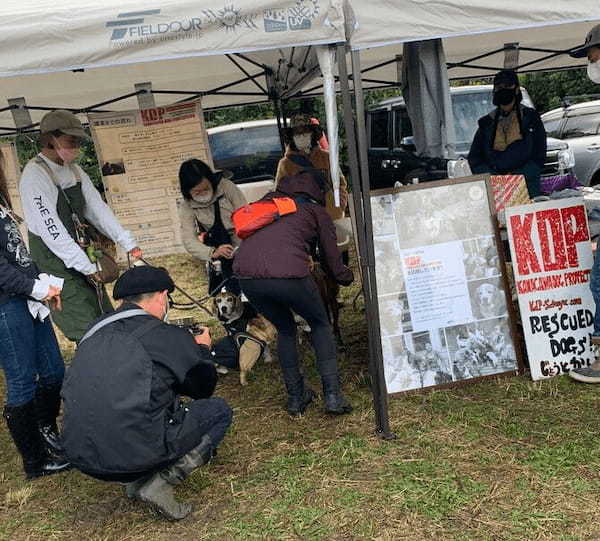 湘南国際村めぐりの森にて 保護犬のためのチャリティイベント開催！ DOGs CONFERENCEイベントレポート