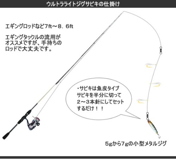 【ジグサビキ入門】仕掛けや釣り方など、釣果アップの秘訣をご紹介！