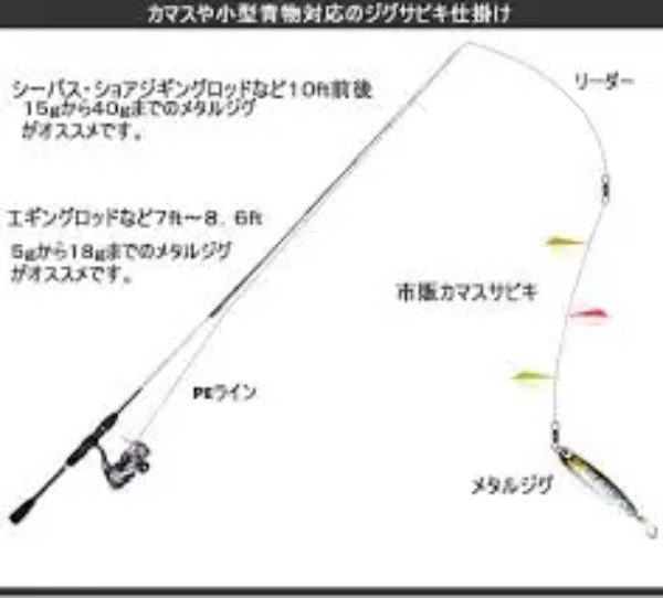 【ジグサビキ入門】仕掛けや釣り方など、釣果アップの秘訣をご紹介！