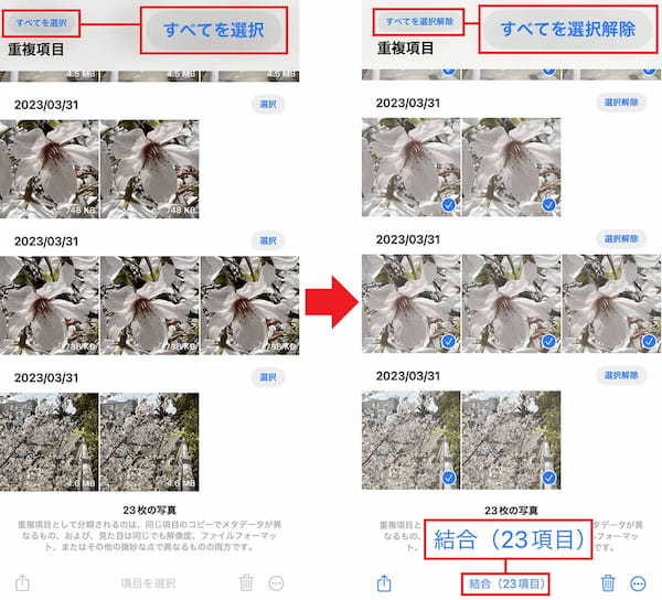 【iOS 16】iPhone内の重複した写真・動画を自動で検索してまとめて削除する方法