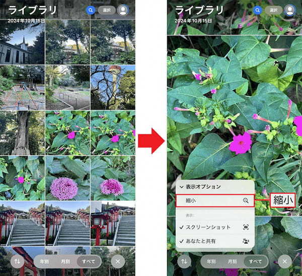 【iPhone】iOS 18で使いにくくなった「写真」アプリを元に戻す方法