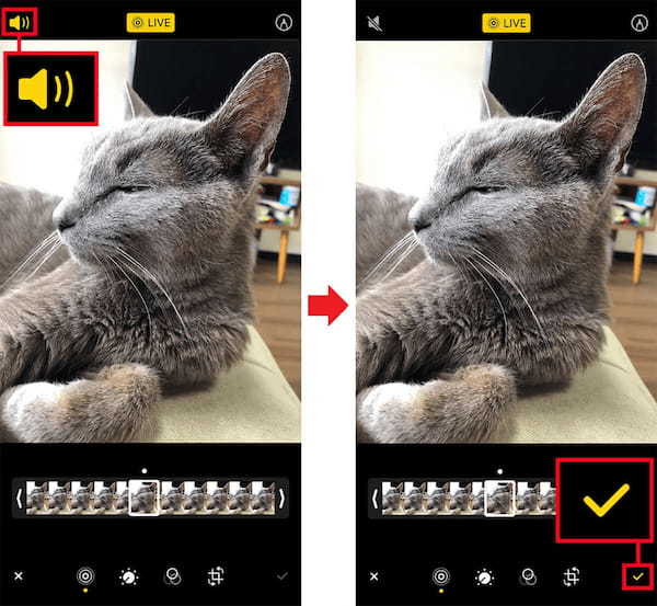 iPhoneの「Live Photos」の基本操作とエフェクトの使い方を解説