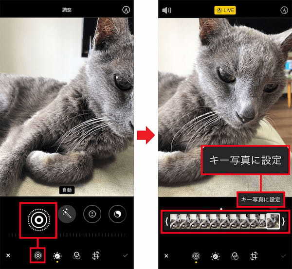 iPhoneの「Live Photos」の基本操作とエフェクトの使い方を解説
