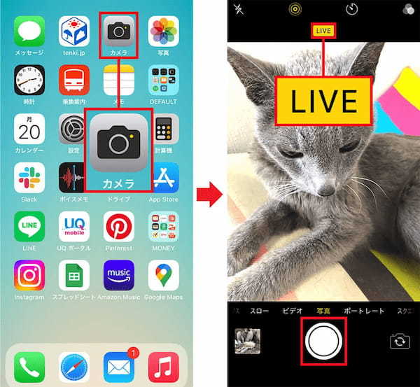 iPhoneの「Live Photos」の基本操作とエフェクトの使い方を解説
