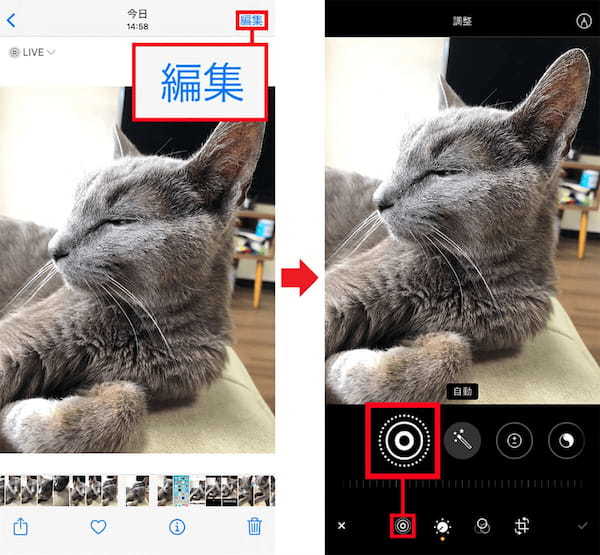 iPhoneの「Live Photos」の基本操作とエフェクトの使い方を解説