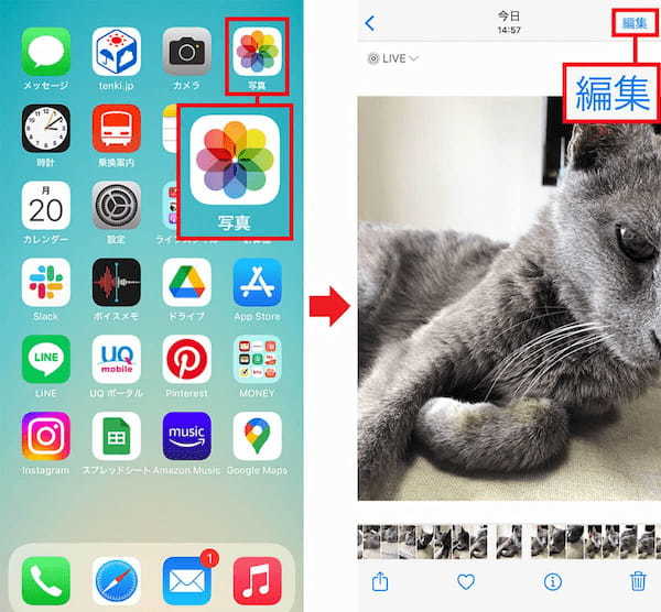 iPhoneの「Live Photos」の基本操作とエフェクトの使い方を解説