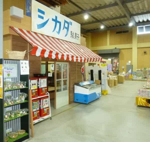 そこは駄菓子のテーマパーク　岡山「日本一のだがし売場」に行ってみた