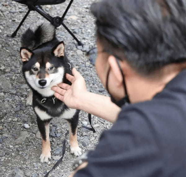 男性or女性　ナデナデする人で態度が変わってしまうワンちゃん