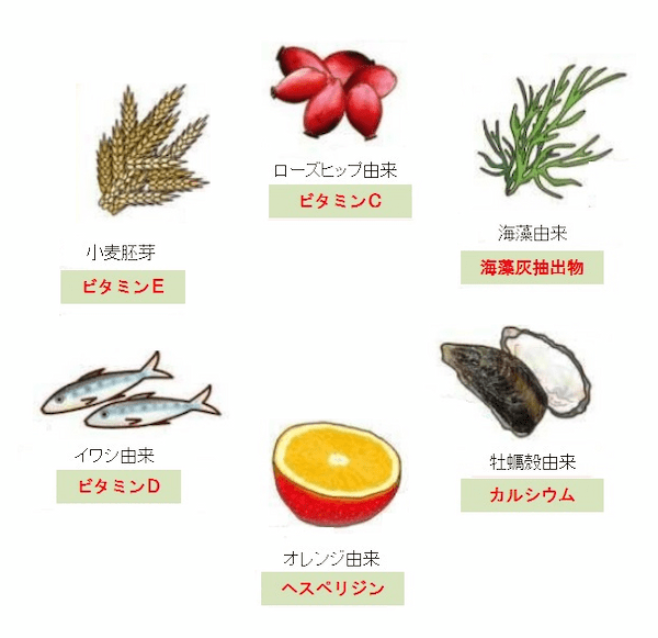 夏バテの人必見！筋トレの強い味方