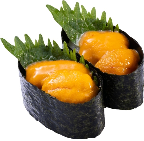 かっぱ寿司、「うに」と「天然まぐろ中とろ」を100円(税込110円)よりご提供 高級&人気ネタを満喫『かっぱのうにとろ祭り』開催
