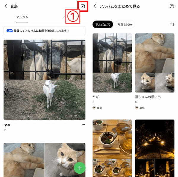 LINE「アルバム」の作り方と写真の追加方法・削除方法：転送したいときの対処法も