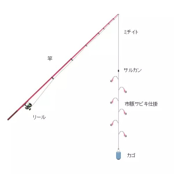 アジ釣りの時期とは？　時間帯や季節・シーズンやおすすめポイントまで！