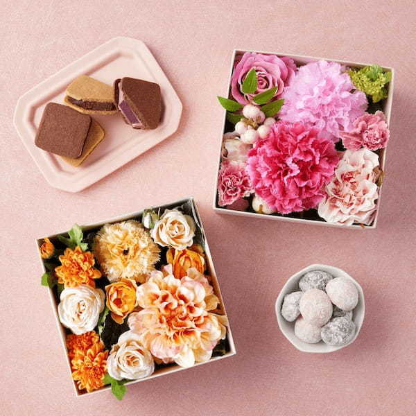 VANILLABEANSの生チョコレートサンドに新作登場!甘酸っぱい春色の味わい、母の日ギフトにも。3月31日(金)からオンラインショップにて順次スタート