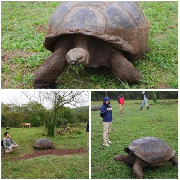 大自然の宝庫！南米のガラパゴス諸島に行ってきました！たくさんの動物が見られますよ♪