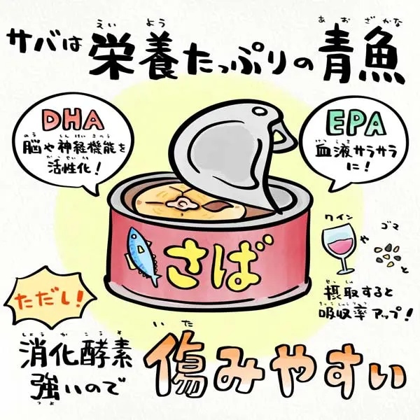 サバの特徴から生まれた「サバを読む」語源を解説する4コマイラスト