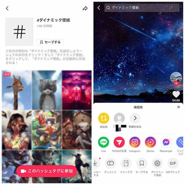TikTok「ダイナミック壁紙」をiPhoneの動く壁紙に設定/保存する方法