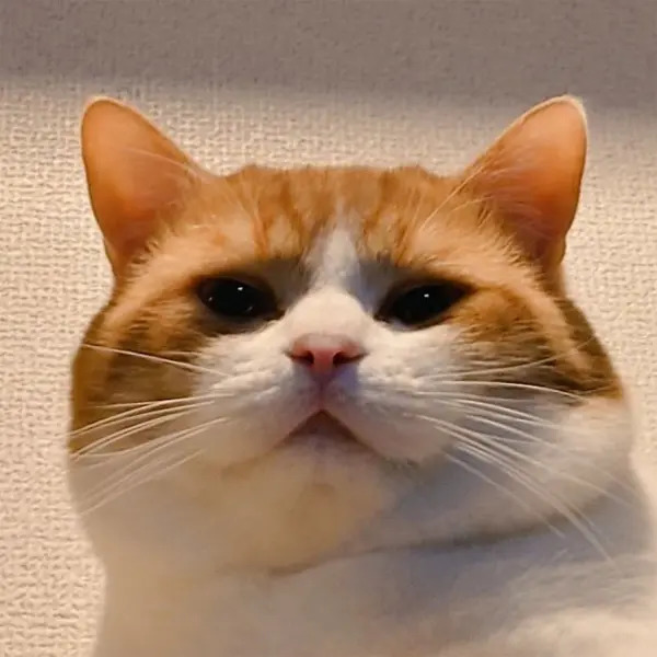 まるで一人酒…遠い目で猫じゃらしをハムハムする猫さん