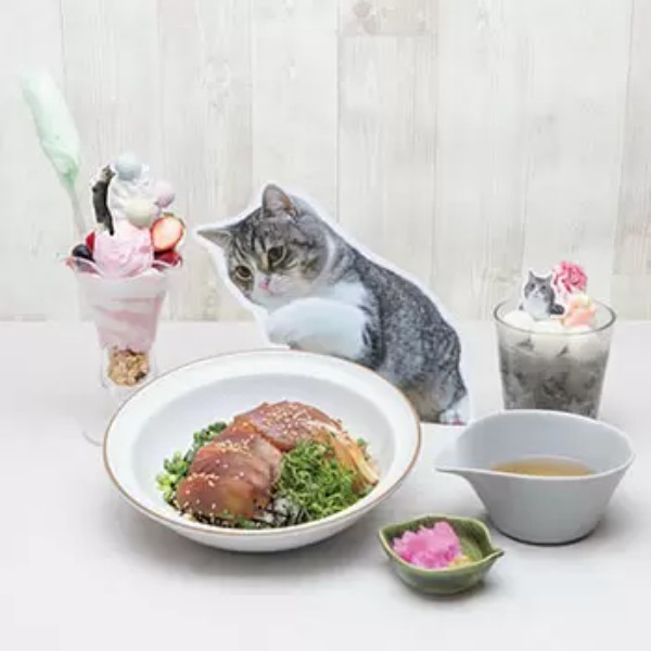 渋谷パルコ、YouTubeで最も視聴された猫「もちまる」とのコラボカフェを開催