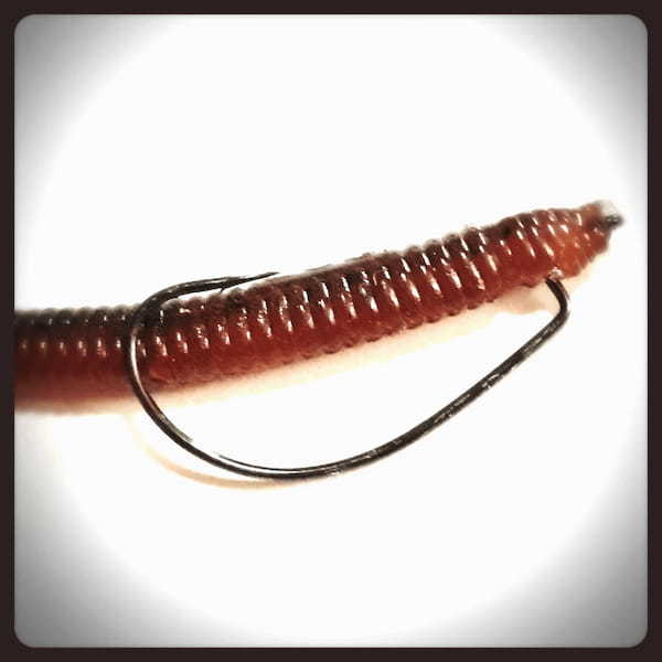 バス釣り ワーム入門ガイド|付け方と動かし方などの使い方をご紹介!