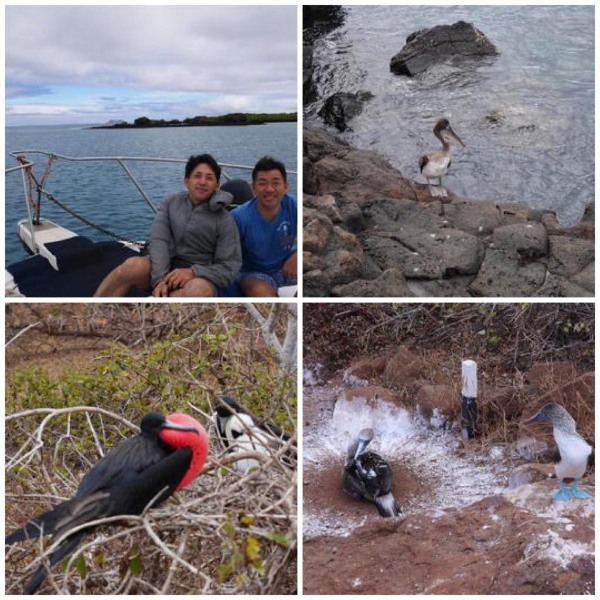 大自然の宝庫！南米のガラパゴス諸島に行ってきました！たくさんの動物が見られますよ♪