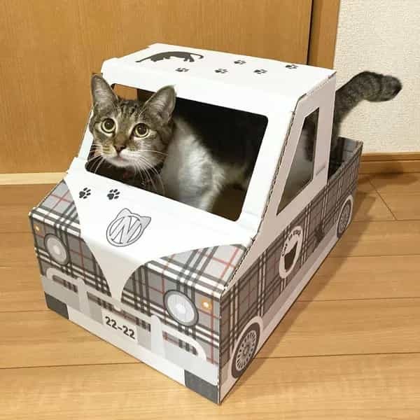 発車オーライだニャ　ダンボールの猫用トラック発売