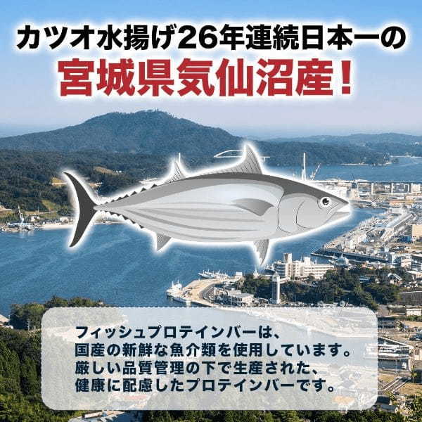 【3/25新発売】カツオ由来の国産フィッシュプロテインバー『かつお たんぱっくん』魚肉たんぱく質たっぷり17.6g・低糖質・低脂質でヘルシー！6か月常温保存可でアウトドアにも