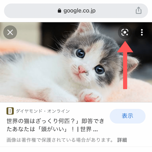 Google(グーグル)画像検索を使いこなそう!スマホ・PCでの基本をご紹介!