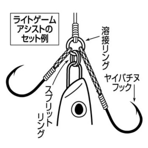 ライトショアジギングの入門編!やり方や動画などをご紹介!