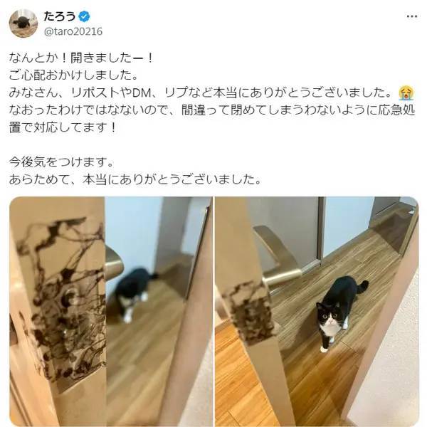 ドアノブが取れた!リビングに閉じ込められた1人と1匹の脱出劇