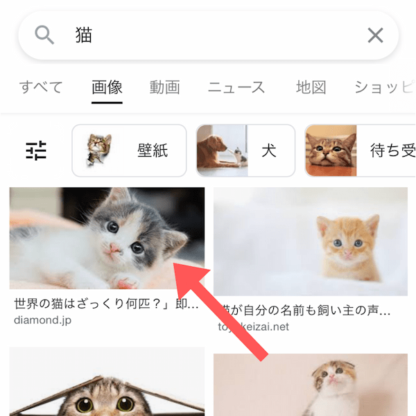 Google(グーグル)画像検索を使いこなそう!スマホ・PCでの基本をご紹介!
