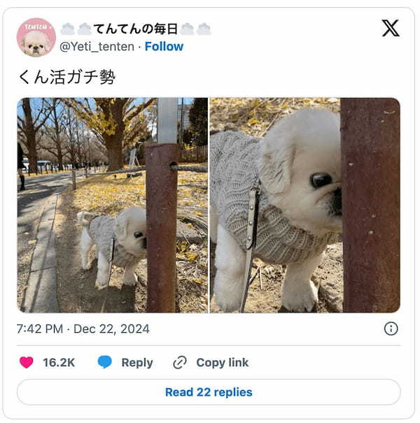 見よ、これが“くん活ガチ勢”だ……！ゼロ距離でポールの匂いを嗅ぐワンちゃん