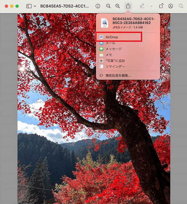 【Mac】「AirDrop」の設定方法 – ファイルの送受信方法も解説！