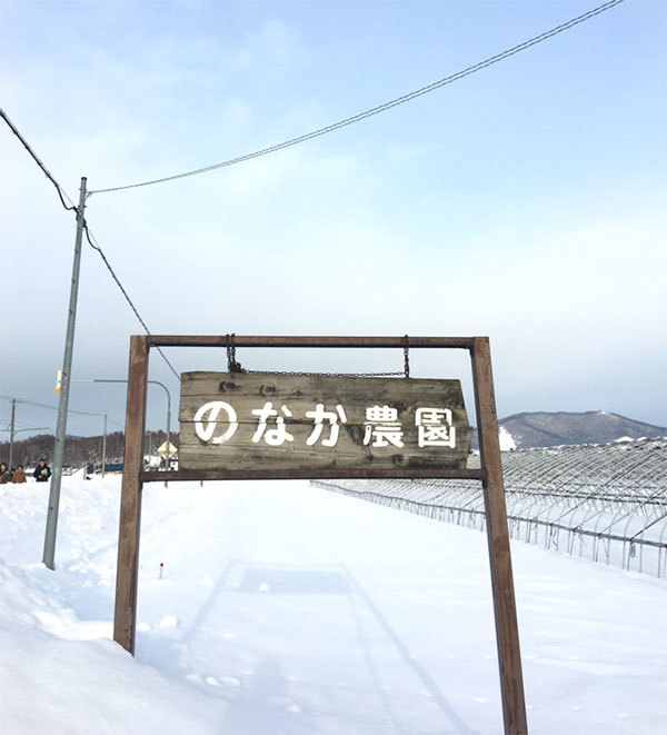 野菜や果物から始まる野菜ソムリエ的旅の組み立て方～北海道旭川の旅