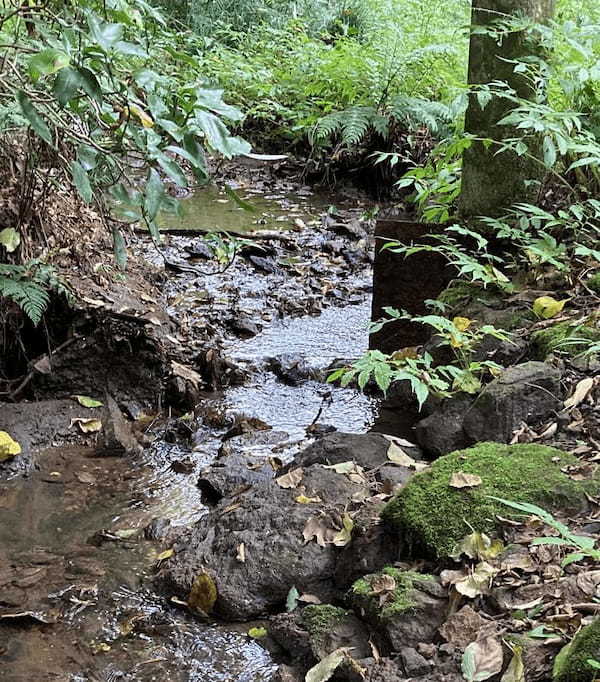 【神奈川・横浜】横浜市最高峰『大丸山』お気軽ハイキングでちょっと山頂へ♪