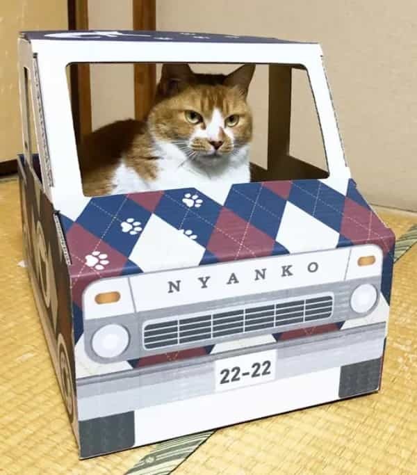 発車オーライだニャ　ダンボールの猫用トラック発売