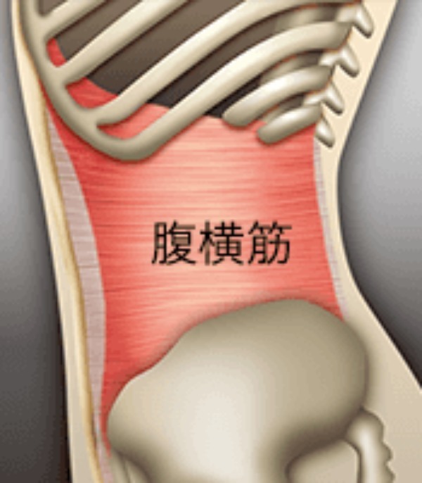 腹筋の効果を高める呼吸法とは？正しい呼吸法を徹底解説！