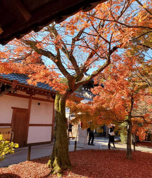 秋はやっぱり紅葉の綺麗な京都へ♪