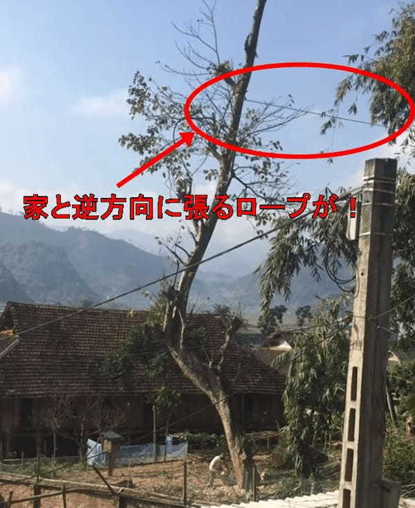 【動画】大木を切り倒そうと思ったら、予想外の方向に倒れて甚大な被害が！