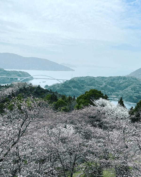 野菜や果物から始まる野菜ソムリエ的旅の組み立て方～広島への旅（レモン）