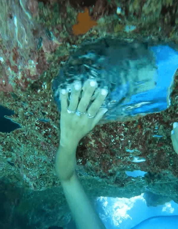 海底の岩の裏に潜る映像！海底にあった不思議な光景の映像に心奪われる