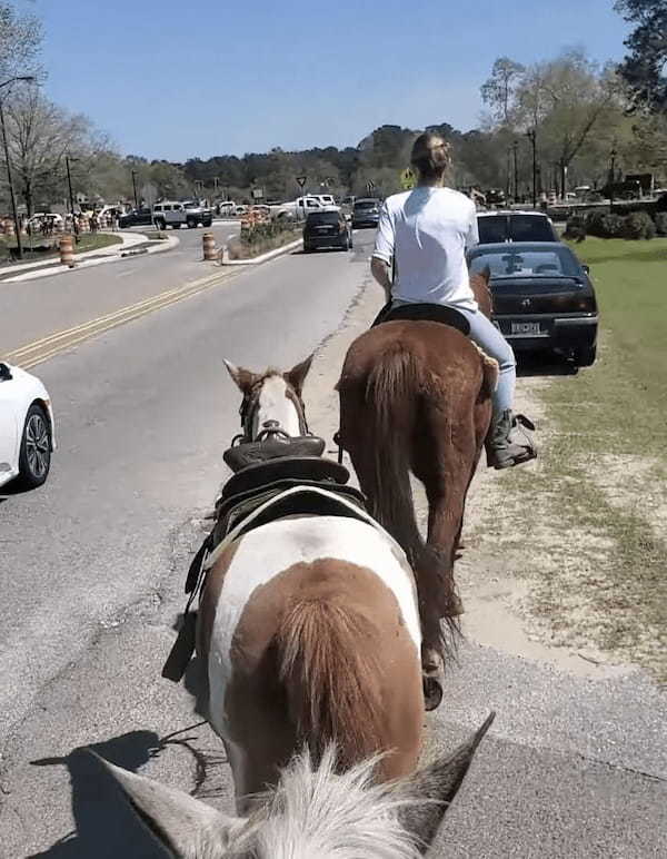馬に乗って学校まで娘のお迎えに行った結果・・・、そのユニークな光景に他の子たちが大はしゃぎして注目の的になっていました！！