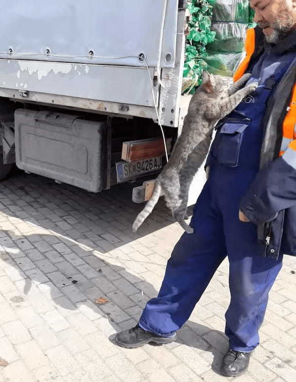 男性の腕からおりたくなかった猫。地面におろされると、愛おしくてたまらない反応を見せました！【海外・動画】