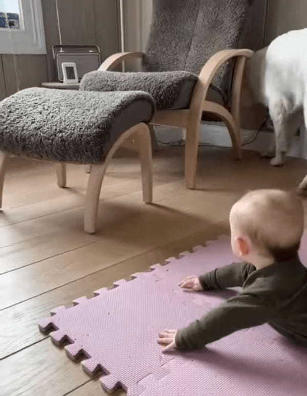 赤ちゃんの手から落ちたのか放ったのか、転がったボールを愛犬が・・・！微笑ましいその光景、遊んであげているのはどっち？【海外・動画】