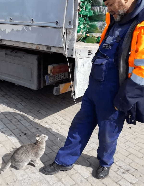 男性の腕からおりたくなかった猫。地面におろされると、愛おしくてたまらない反応を見せました！【海外・動画】